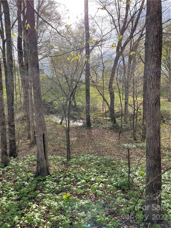 4058 Coxe Road Tryon, NC 28782 - Photo 10 of 31 a backyard of a house with lots of green space