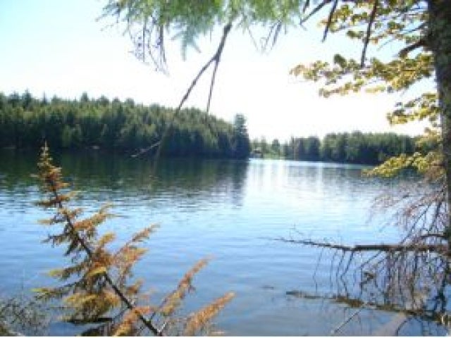On Big Lake Road Watersmeet, MI 49969 - Photo 8 of 10 Gallery Image 8