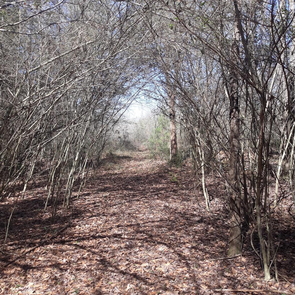 560-540 County Line Road Dothan, AL 36305 - Photo 1 of 9 Main View