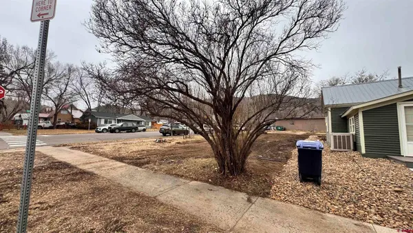 a park view with large trees