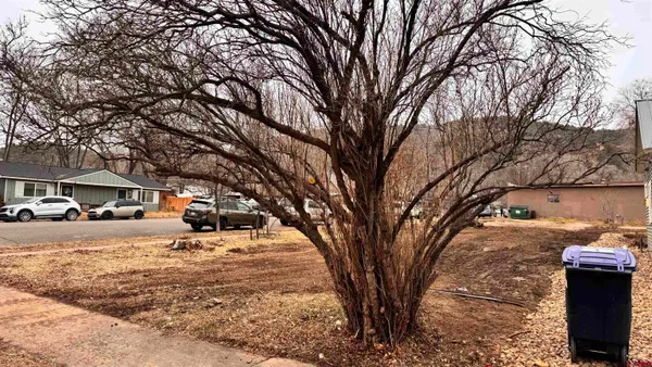 a view of a yard covered with snow in front of house
