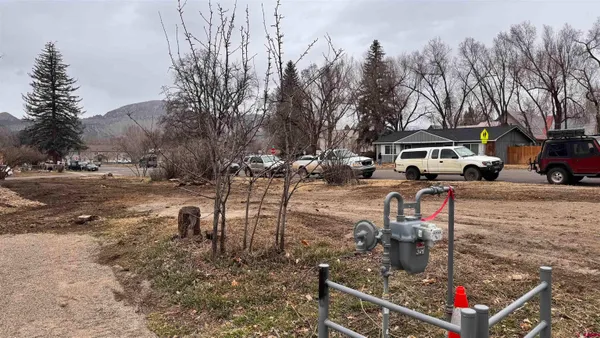 a row of trees and cars on the road