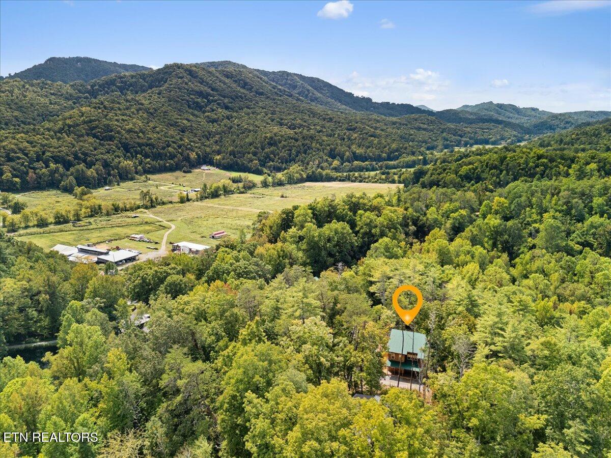 2932 Ginas Way Sevierville, TN 37862 - Photo 36 of 40 40-Aerial