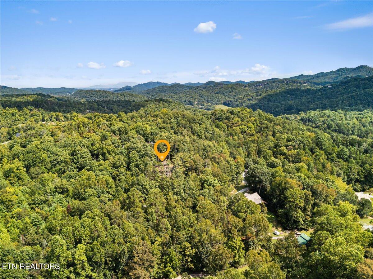 2932 Ginas Way Sevierville, TN 37862 - Photo 37 of 40 41-Aerial
