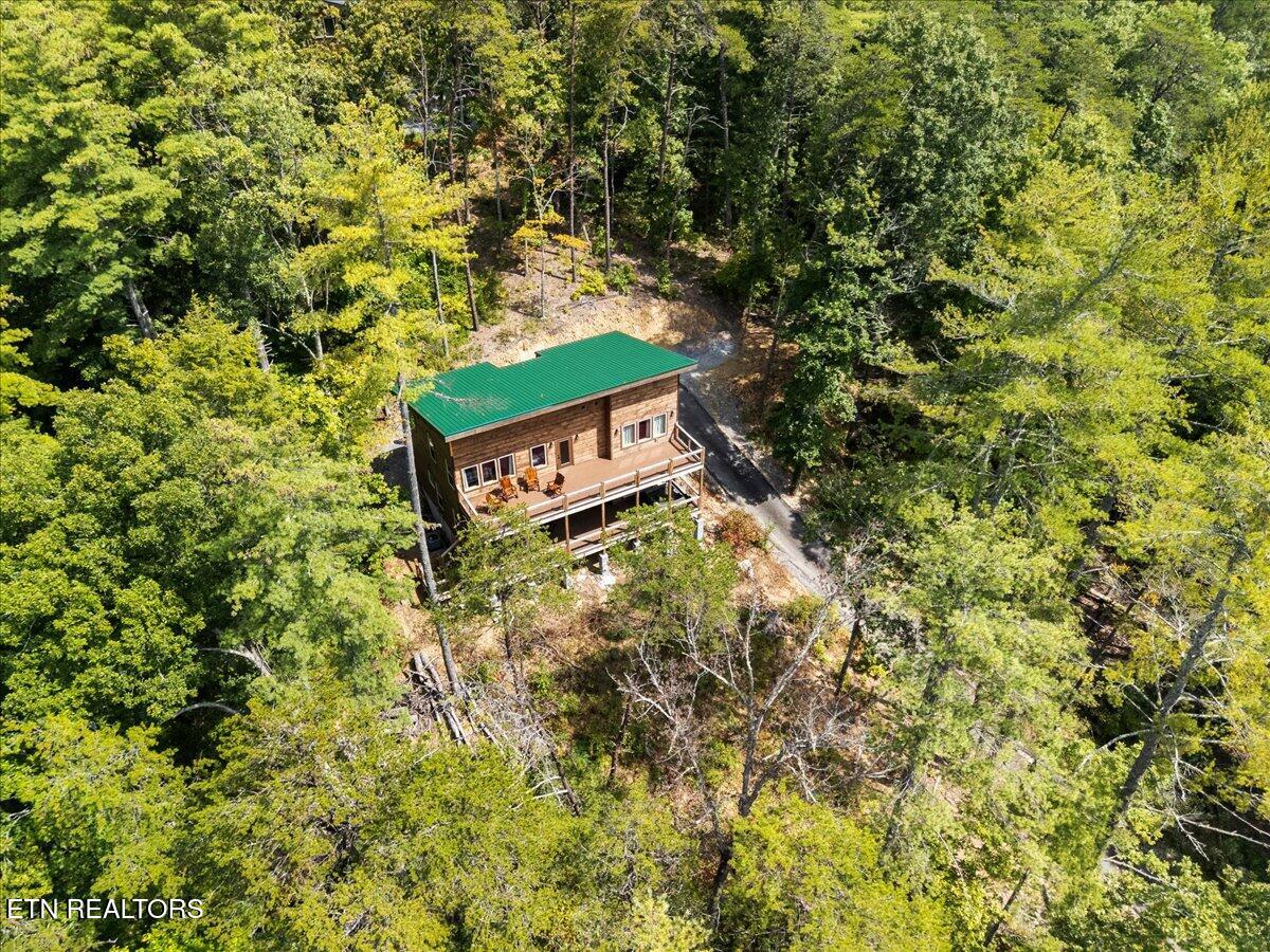 2932 Ginas Way Sevierville, TN 37862 - Photo 38 of 40 42-Aerial