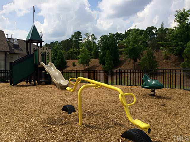 7628 Weathered Oak Way, Unit LT159 Raleigh, NC 27616 - Photo 5 of 11 Come play!