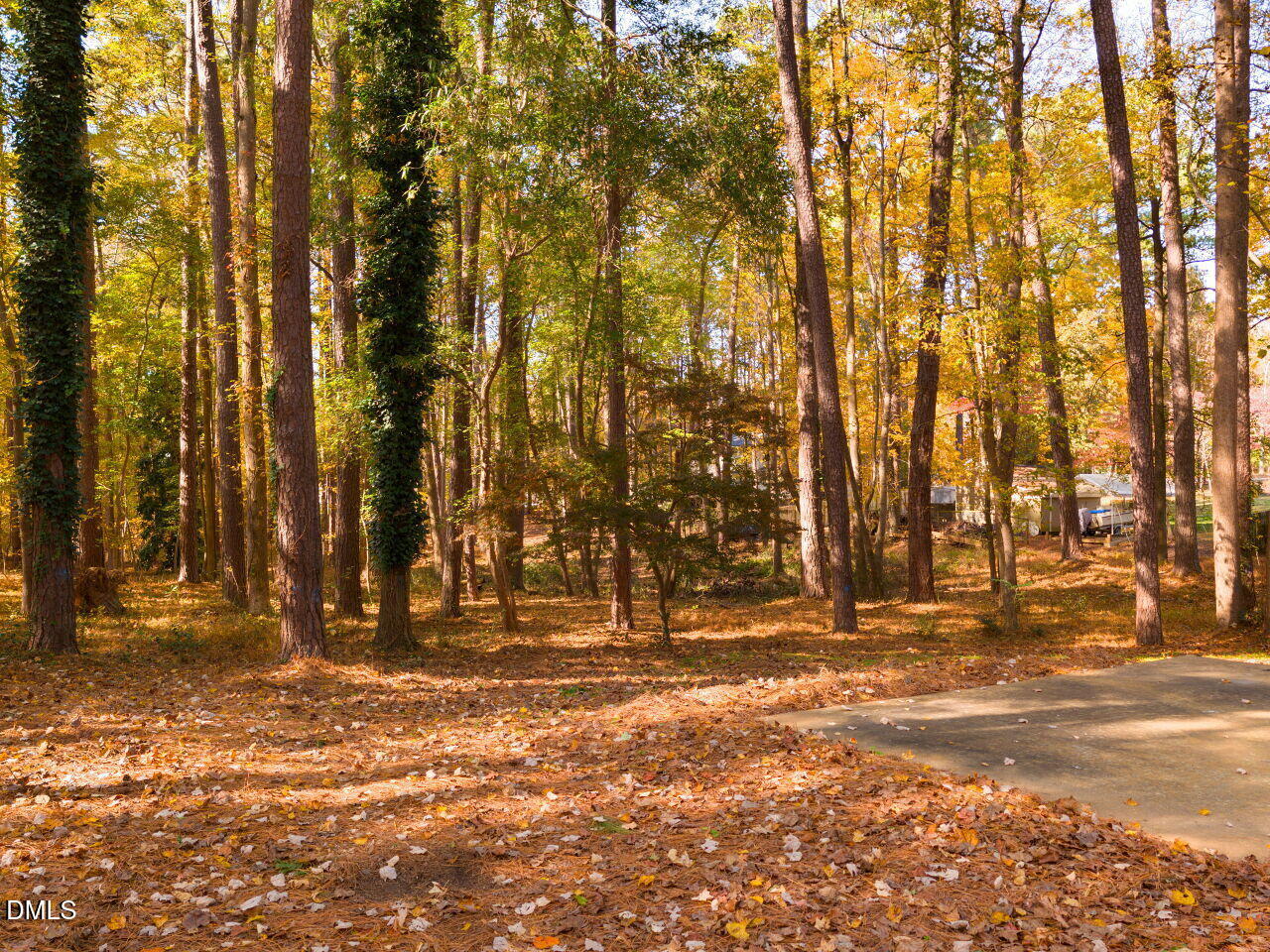 4800 Theys Road Raleigh, NC 27606 - Photo 33 of 43 a view of outdoor space with trees