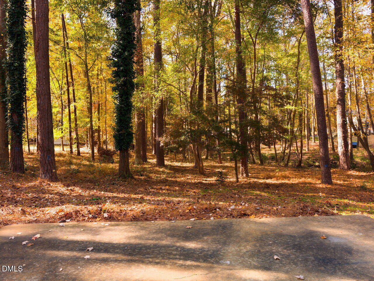 4800 Theys Road Raleigh, NC 27606 - Photo 34 of 43 a view of a yard with trees