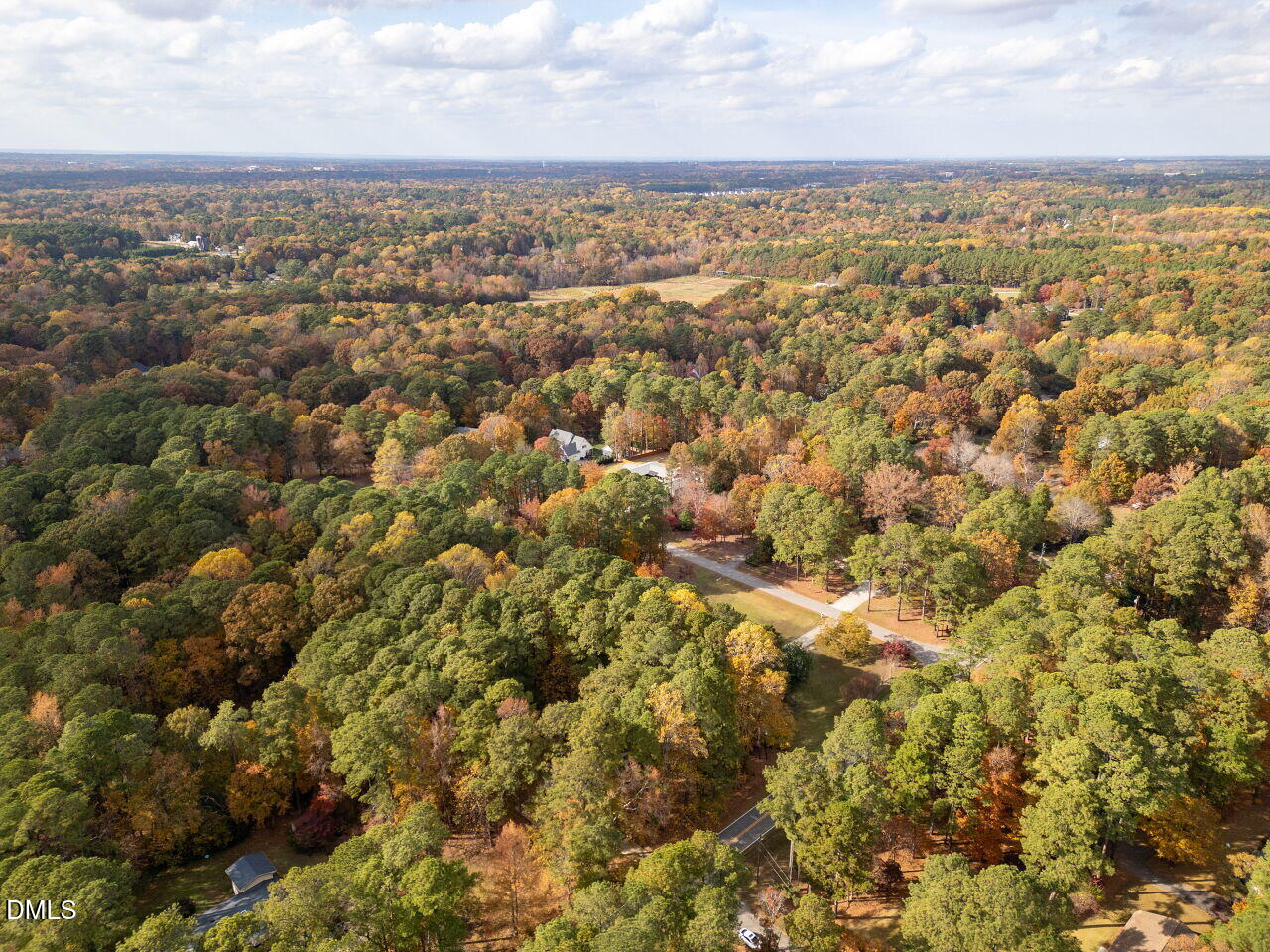 4800 Theys Road Raleigh, NC 27606 - Photo 39 of 43 an aerial view of residential houses with outdoor space and trees