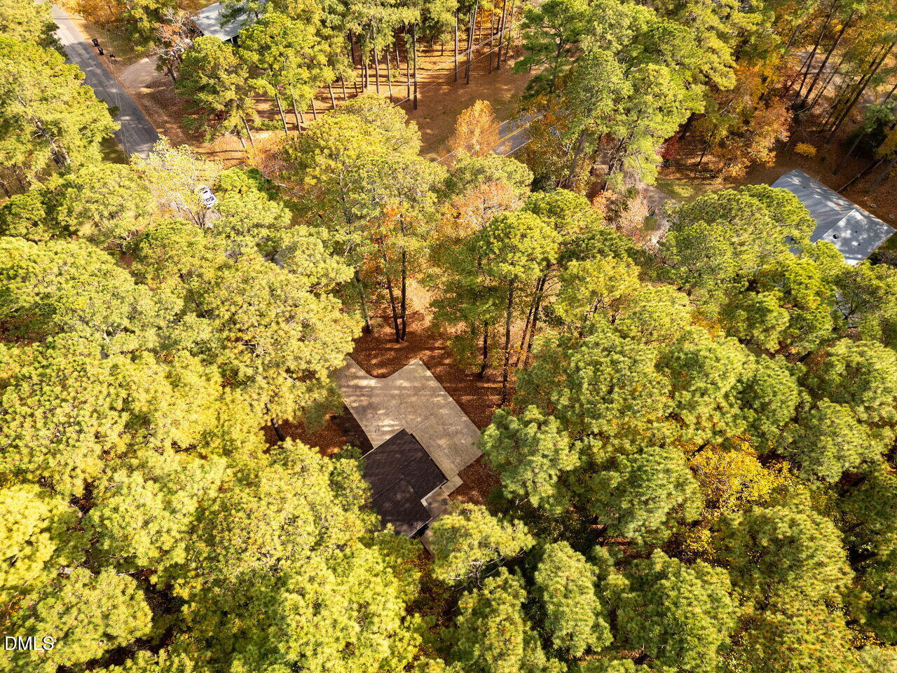 4800 Theys Road Raleigh, NC 27606 - Photo 42 of 43 a view of a tree with a plant in the background