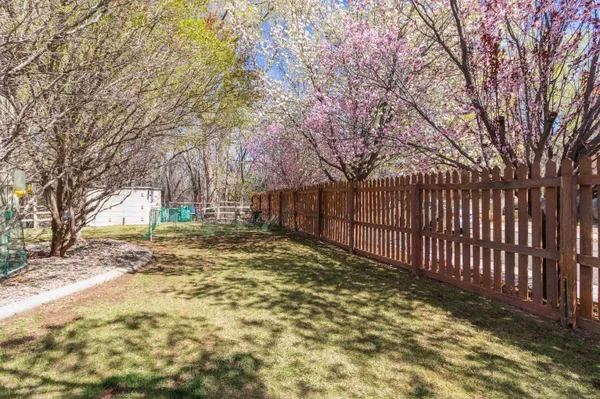 a view of a yard with wooden fence