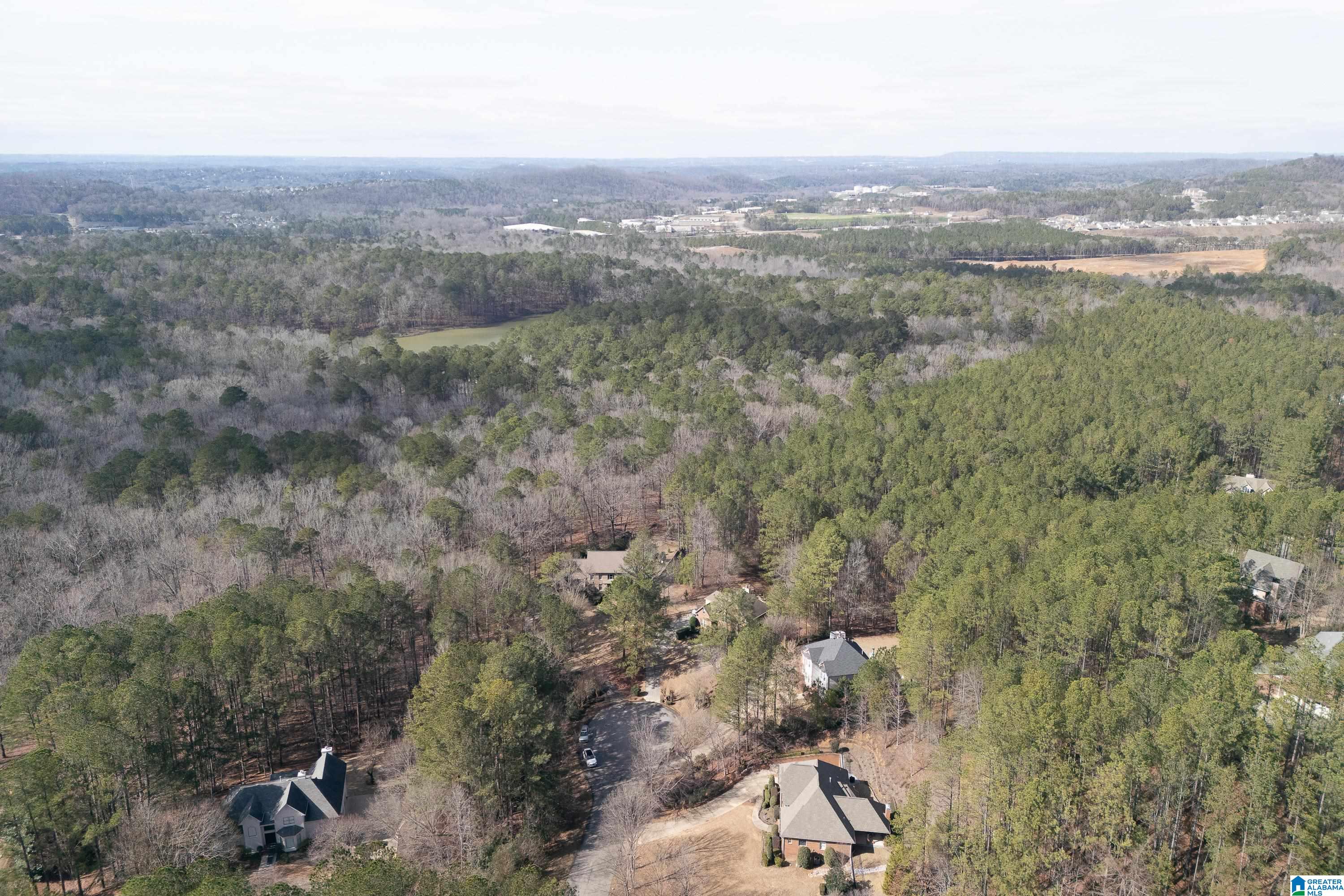 104 Windsor Trail Pelham, AL 35124 - Photo 71 of 79