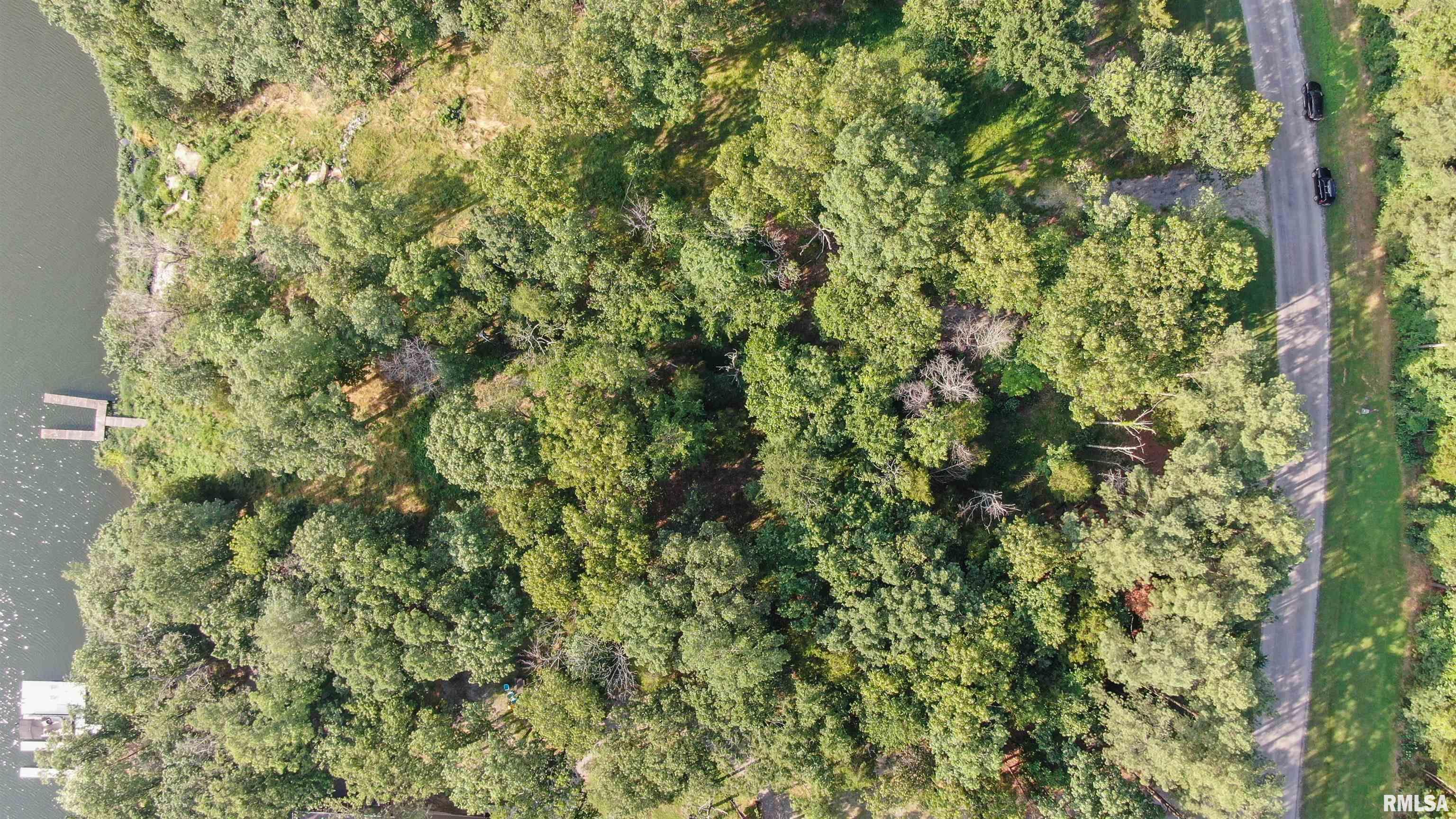 Lot 185 Parrish Ridge Lane Goreville, IL 62939 - Photo 7 of 7