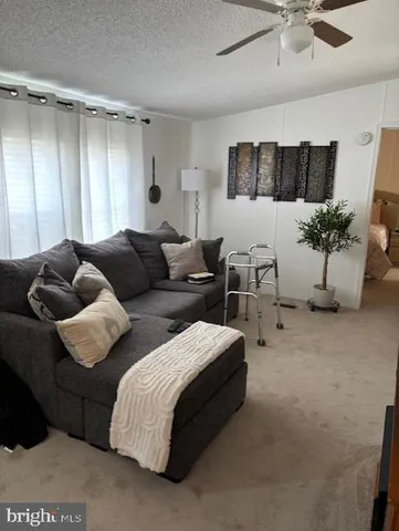 a living room with furniture and a ceiling fan