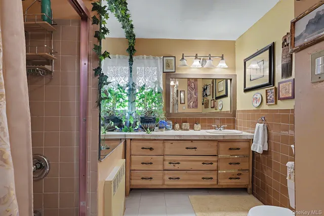 a bathroom with a granite countertop sink a mirror and a potted plant