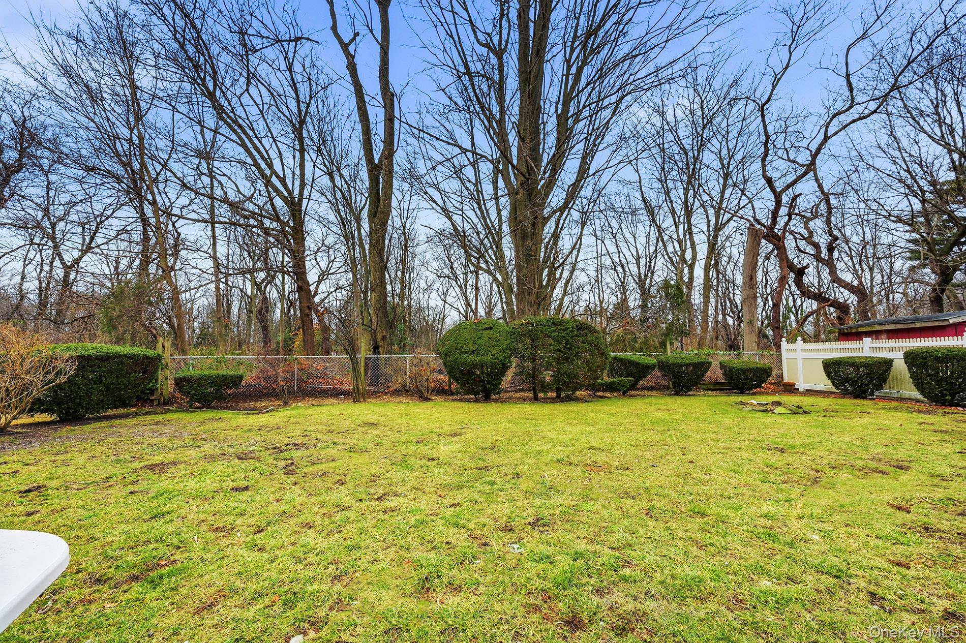 24 Cedar Road Westbury, NY 11590 - Photo 22 of 22 a house with trees in front of it