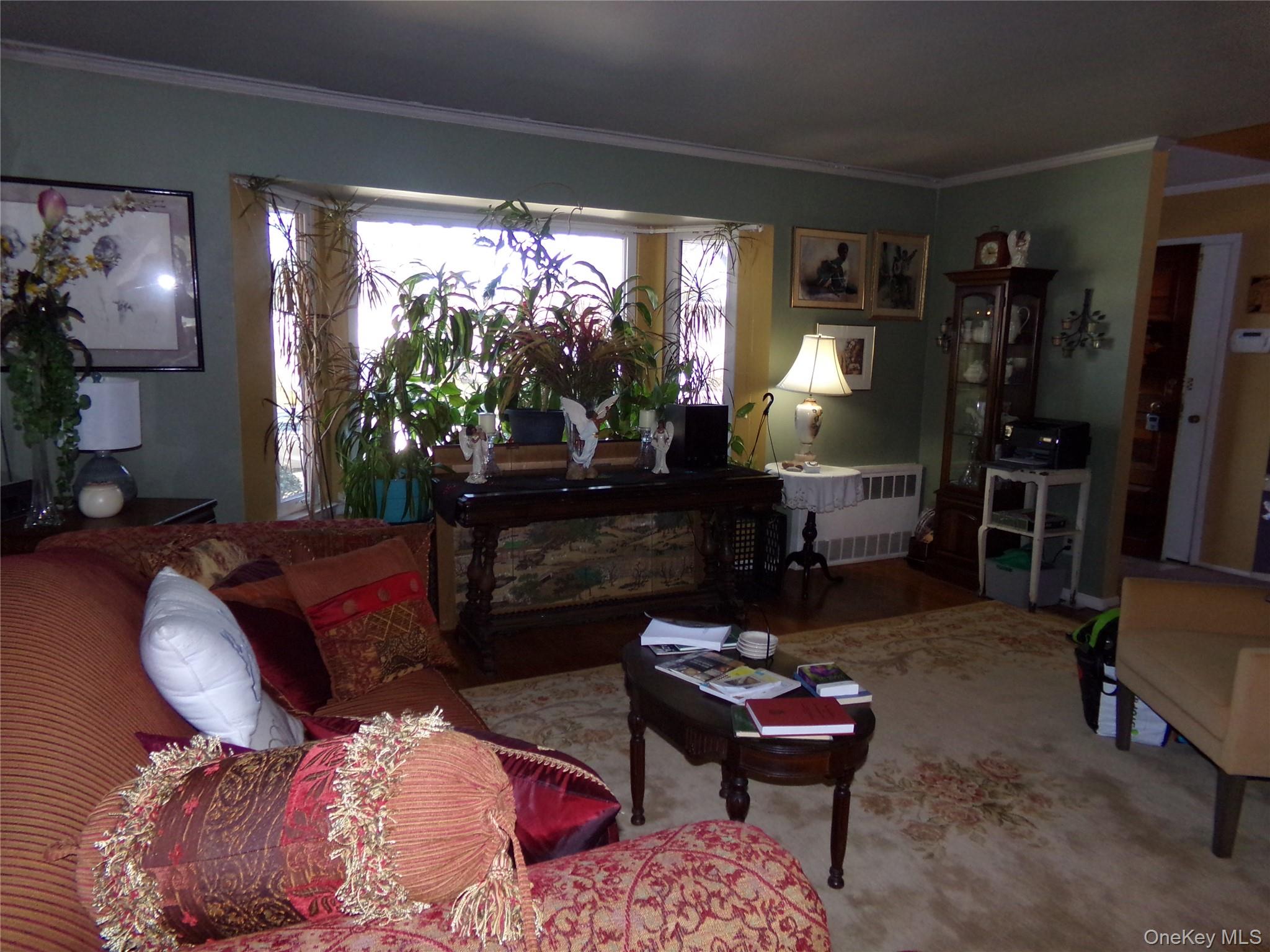 24 Cedar Road Westbury, NY 11590 - Photo 4 of 21 Living room with ornamental molding and radiator