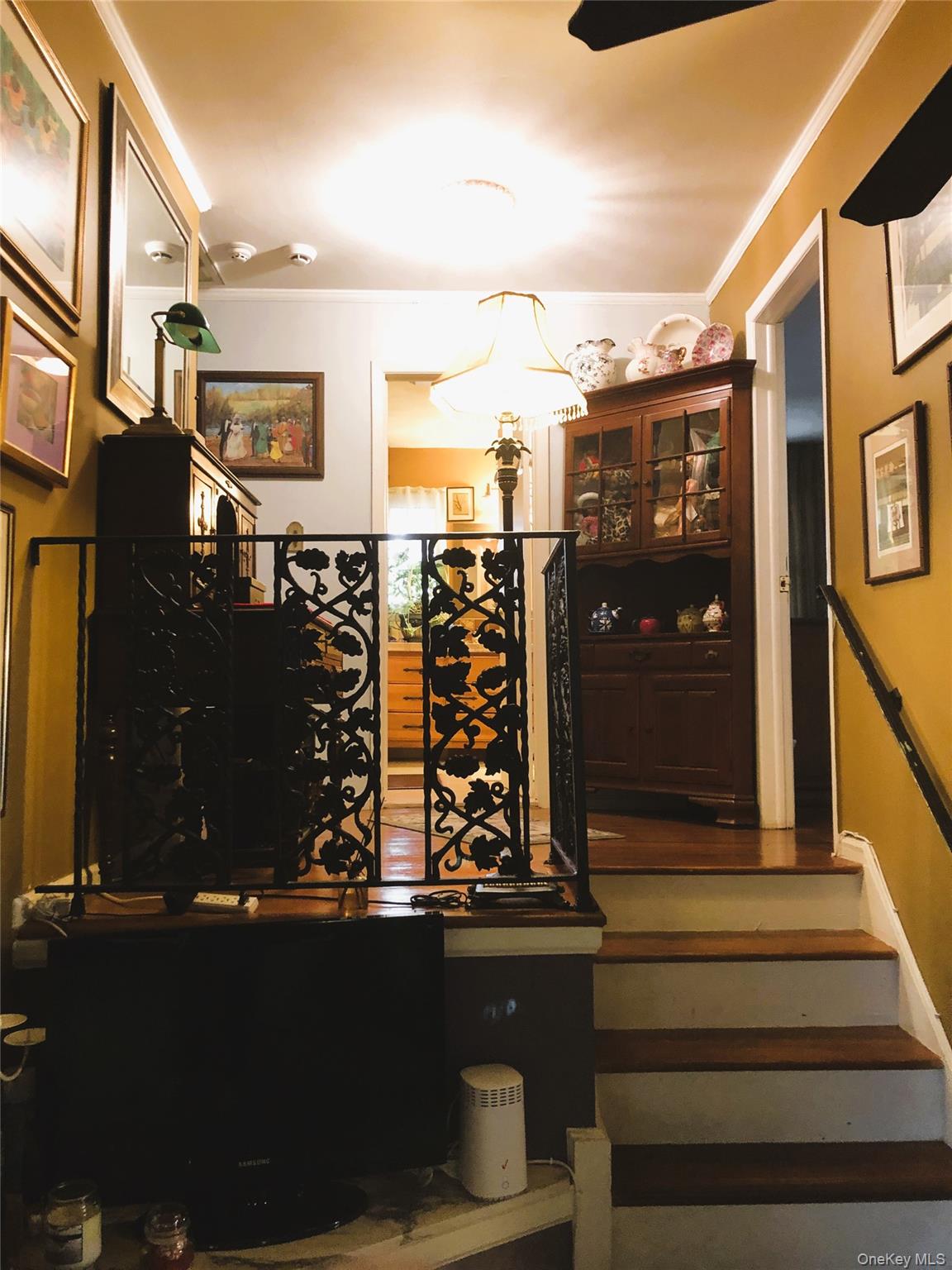 24 Cedar Road Westbury, NY 11590 - Photo 10 of 21 Wine room with crown molding