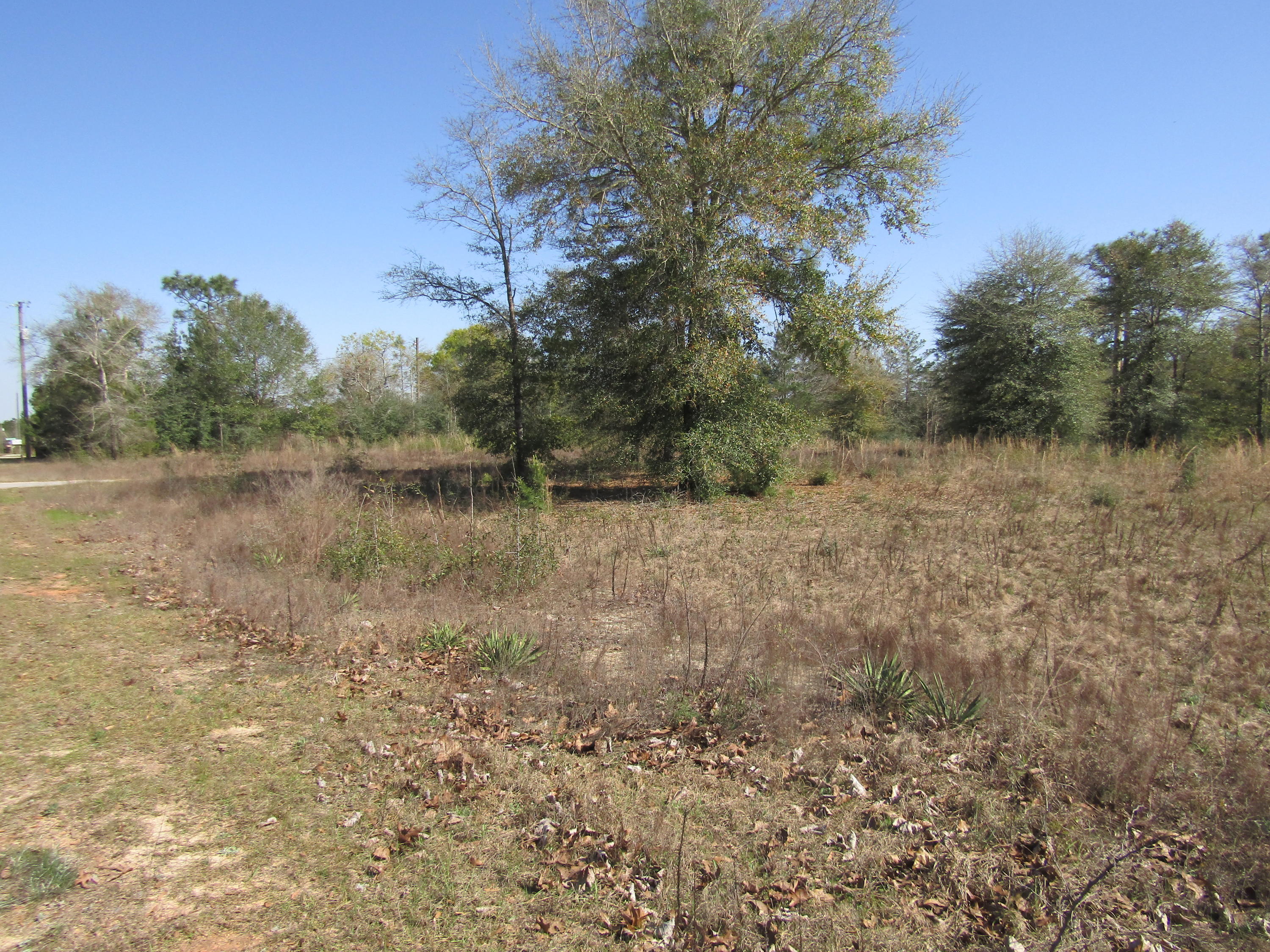 2.5-acres Spring Hill Road DeFuniak Springs, FL 32433 - Photo 2 of 3 a view of a lake with lots of trees