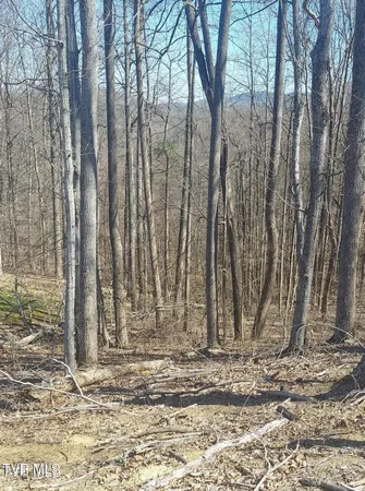 $39,900 | Lot 76 Golf Course Road, Unit 76, Unicoi, TN 37692