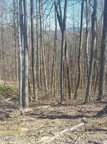 $39,900 | Lot 76 Golf Course Road, Unit 76, Unicoi, TN 37692