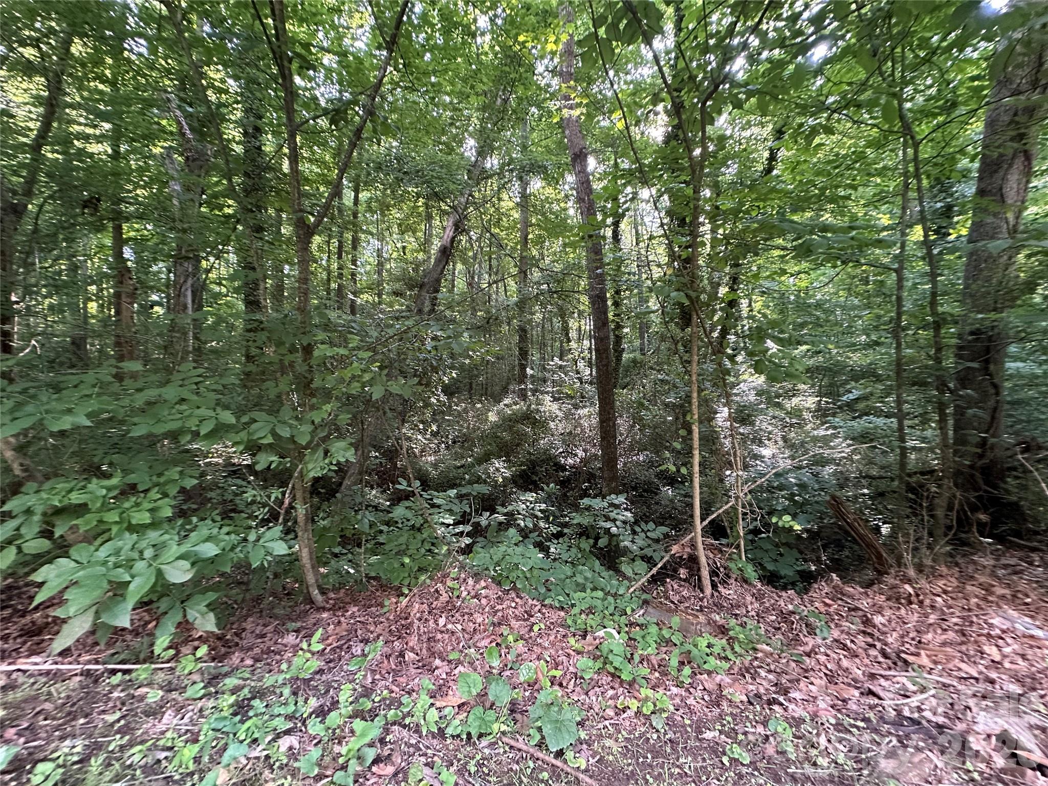 0 Briarcliff Road Rockwell, NC 28138 - Photo 20 of 25