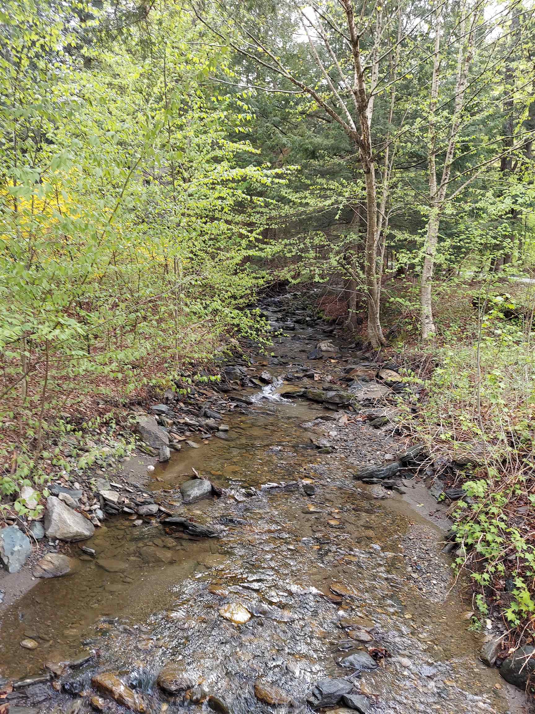 111 Taft Brook Road Dover, VT 05341 - Photo 5 of 14