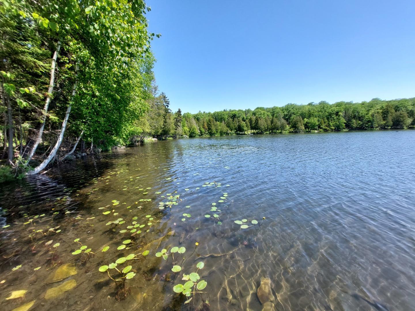 64 Chestnut Lane Rangeley, ME 04970 - Photo 28 of 36 Pond looking east
