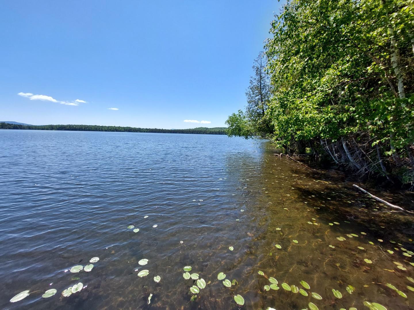64 Chestnut Lane Rangeley, ME 04970 - Photo 3 of 36 Pond from dock very private