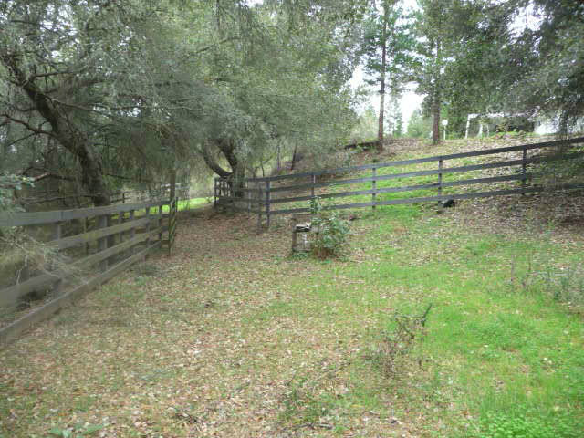 310 Rider Ridge Road Santa Cruz, CA 95065 - Photo 12 of 12 a view of a park with large trees