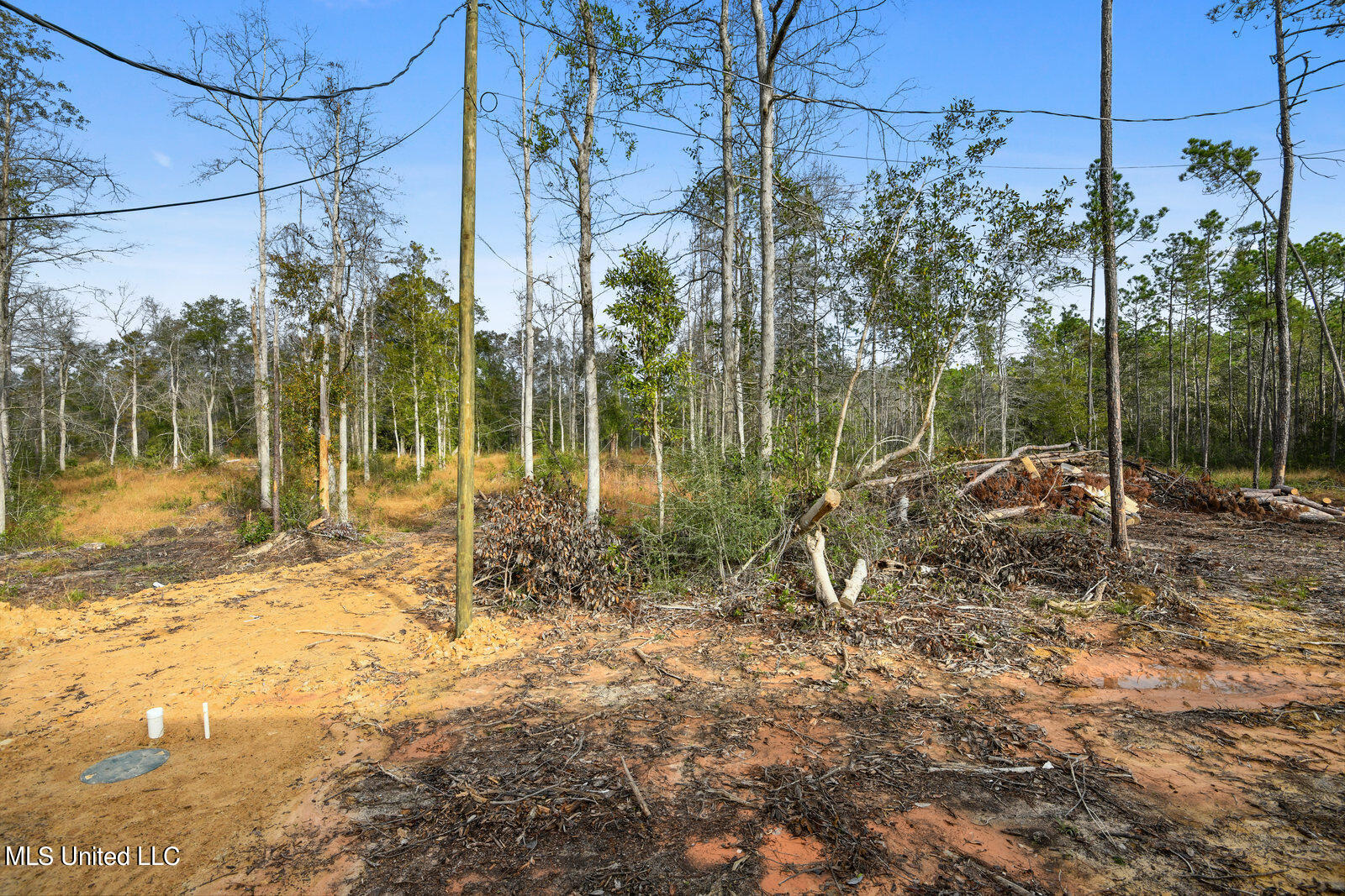 20485 White Road Vancleave, MS 39565 - Photo 18 of 18 017_1600x1067_mls_1600x1067