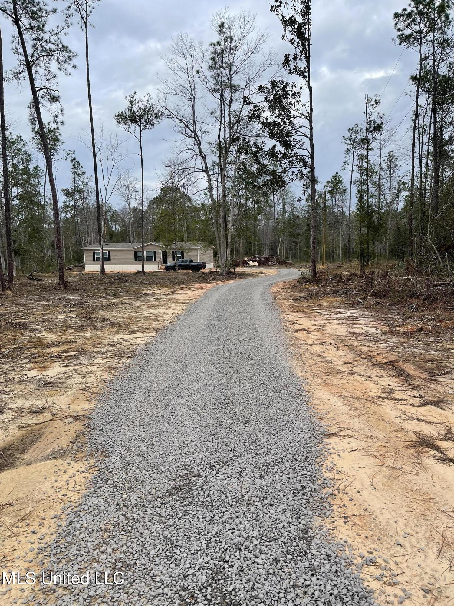 20485 White Road Vancleave, MS 39565 - Photo 6 of 18 drive pic