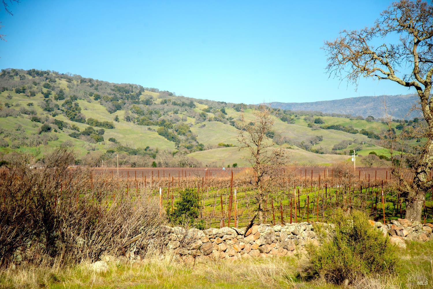 3576 Monticello Road Napa, CA 94558 - Photo 38 of 43