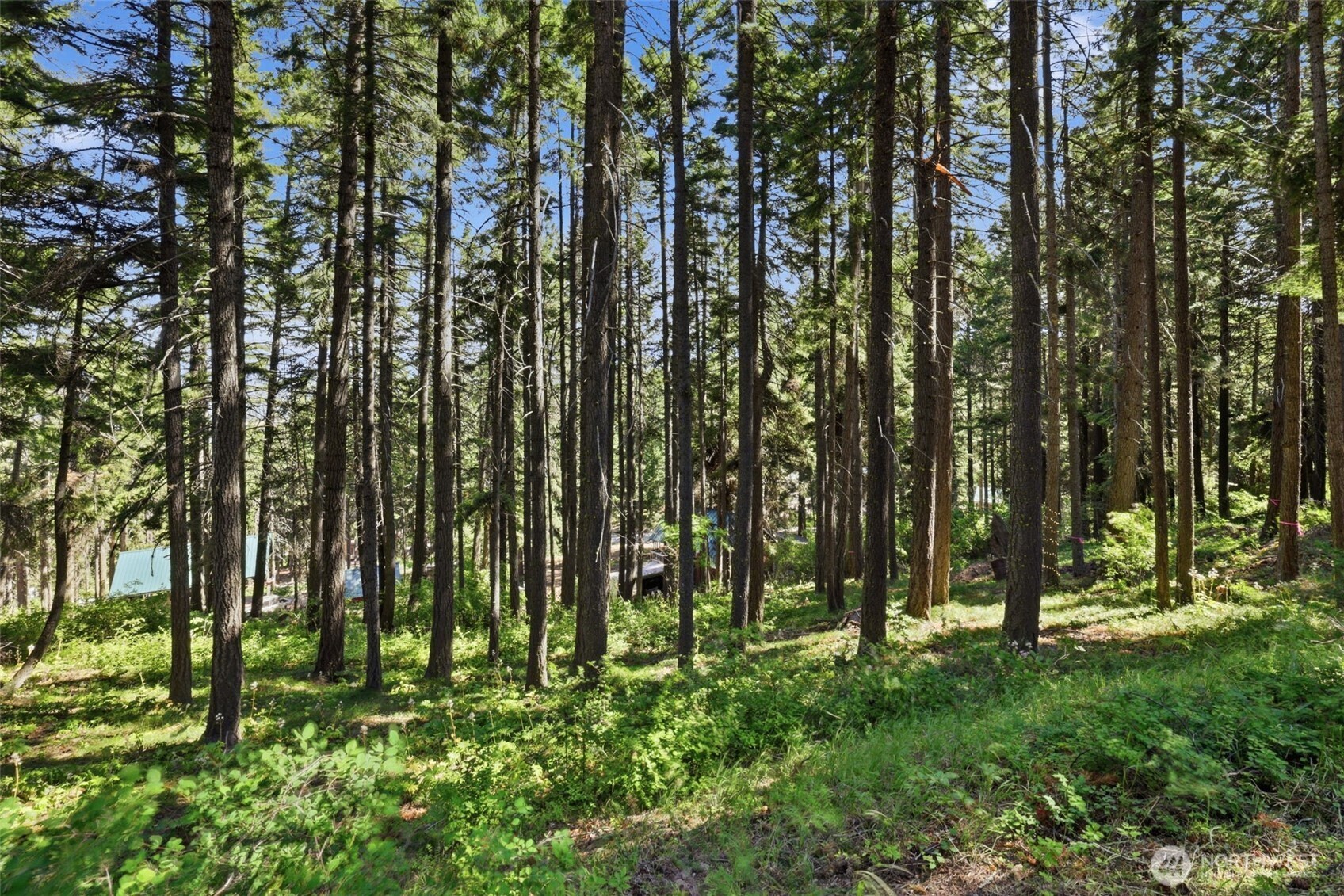 20 Lot Cle Elum, WA 98922 - Photo 11 of 17