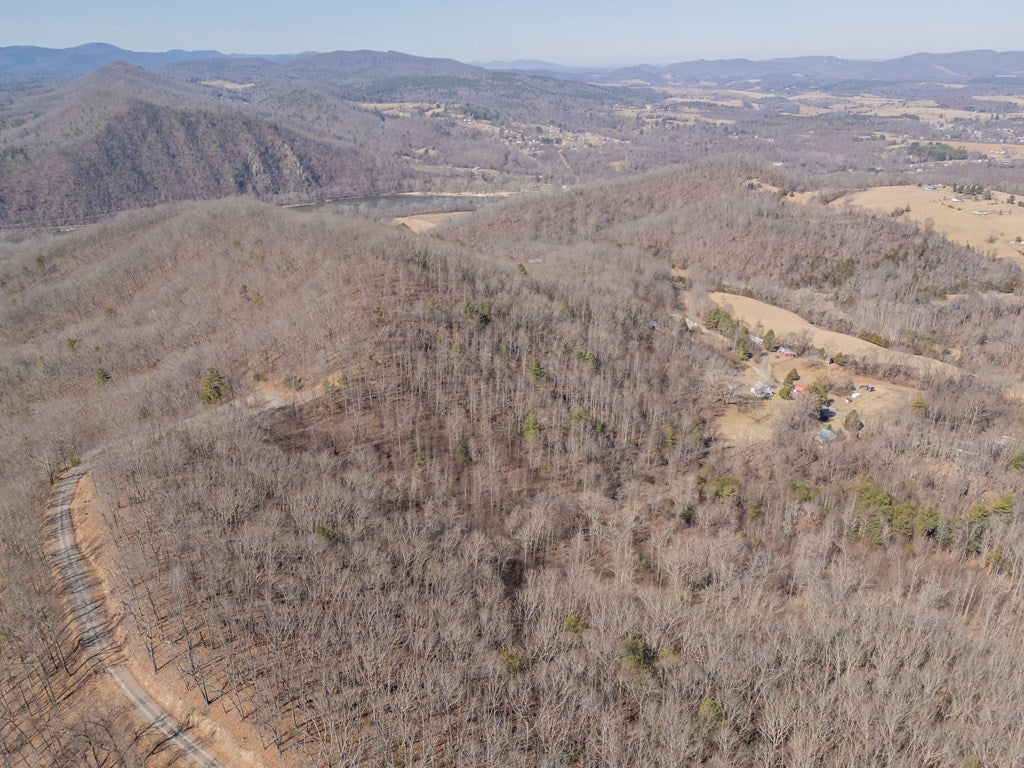2161 Loafers Rest Road Austinville, VA 24312 - Photo 89 of 96 Gallery Image 89