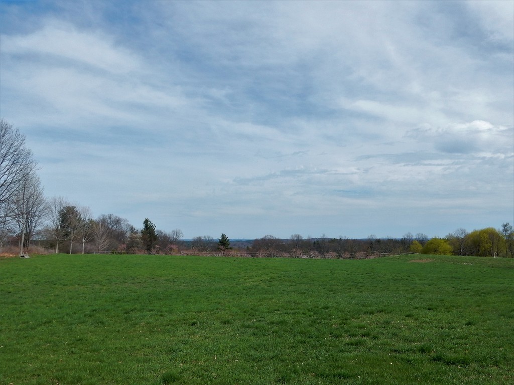41 Woodchuck Hill Road Harvard, MA 01451 - Photo 2 of 2 Gallery Image 2