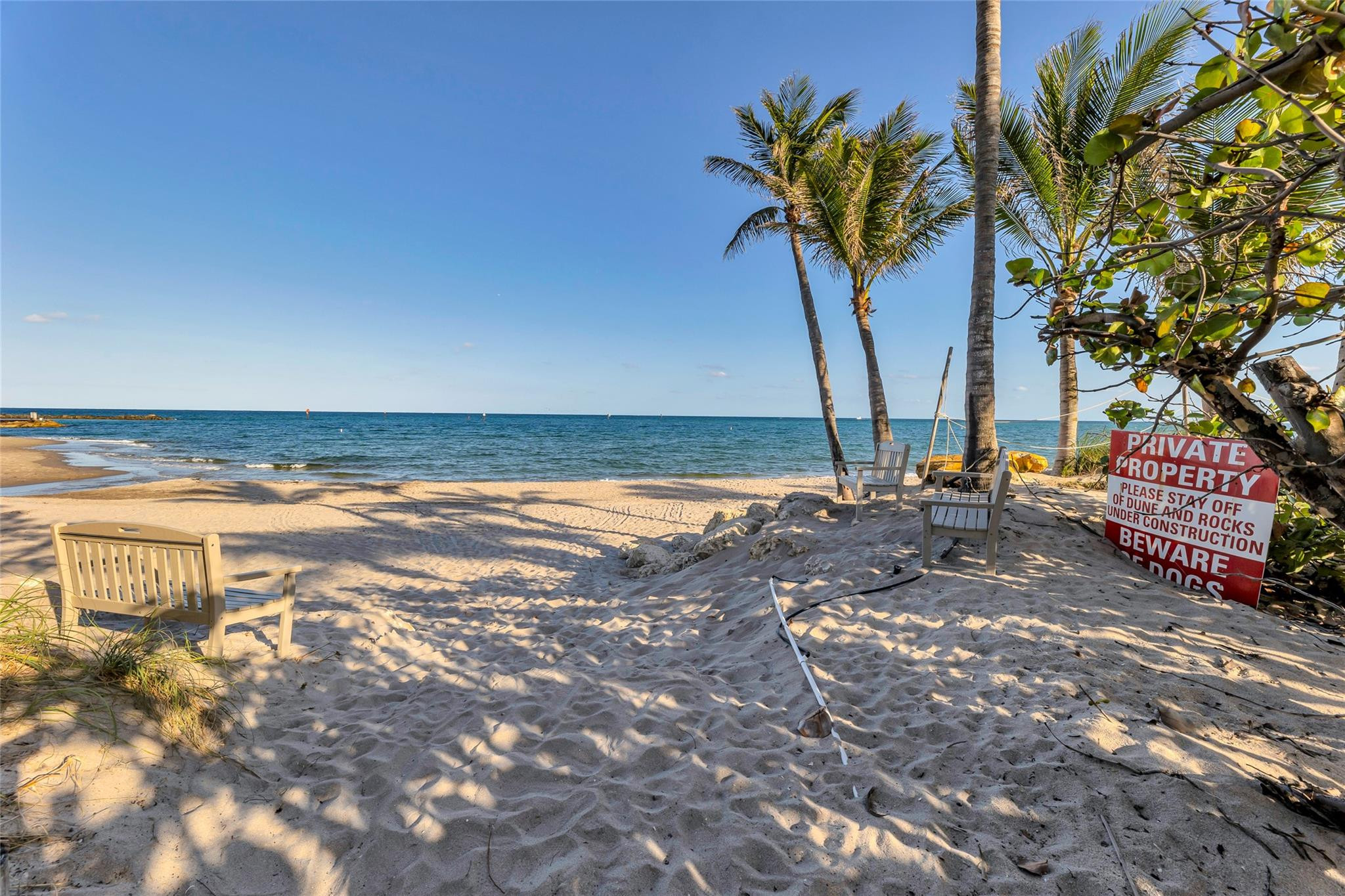 3404 Barton Road Pompano Beach, FL 33062 - Photo 40 of 46 a view of a palm tree with lounge chair