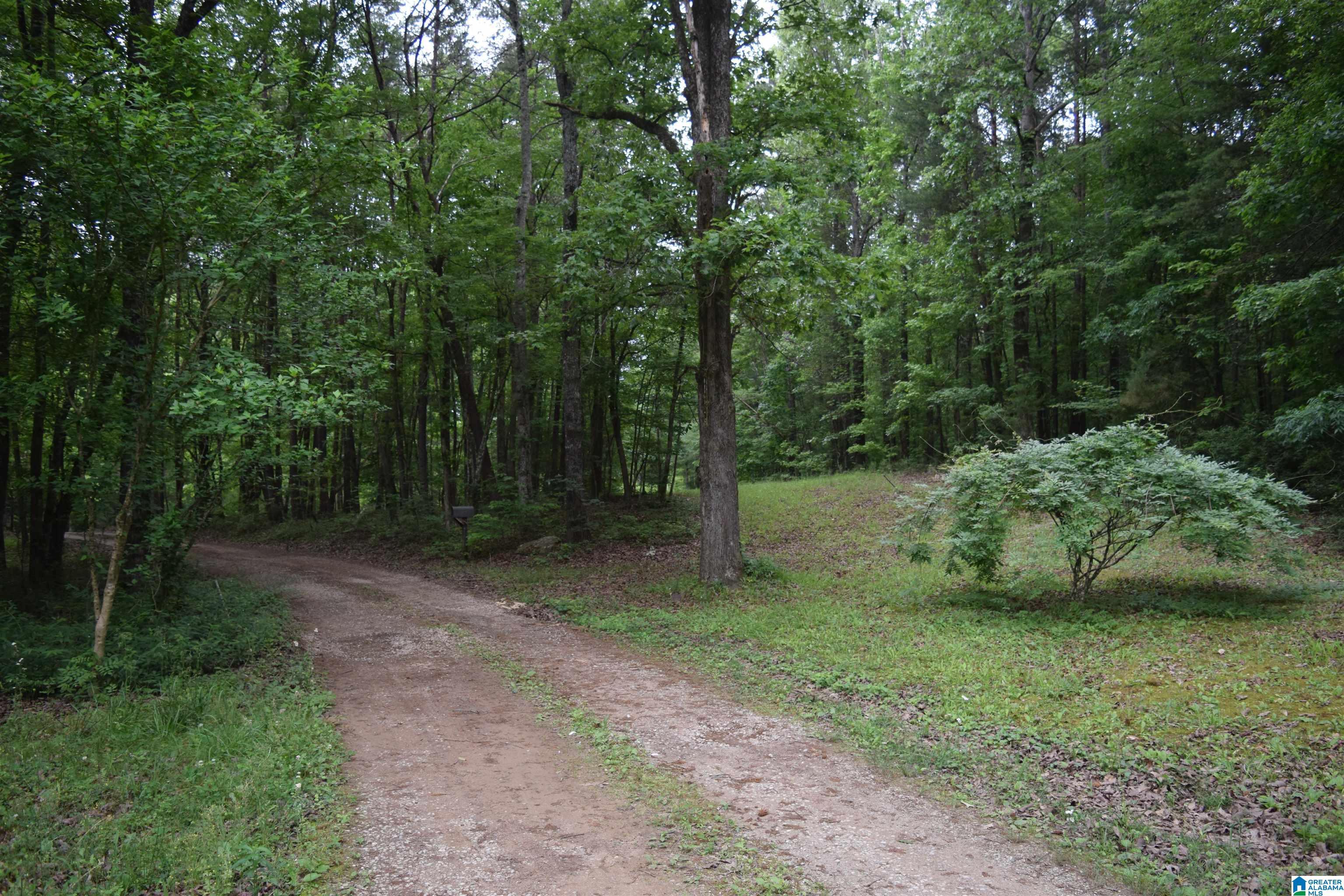20112 Calhoun Road McCalla, AL 35111 - Photo 14 of 31 Gallery Image 14
