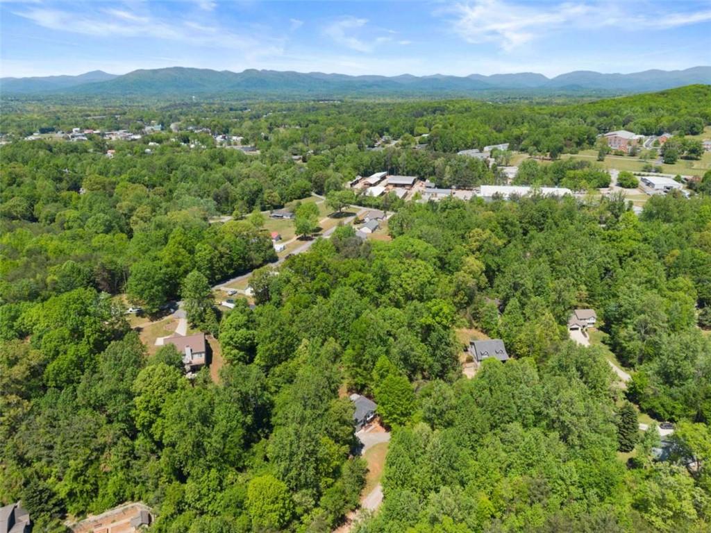 162 Greenview Court Cleveland, GA 30528 - Photo 33 of 52