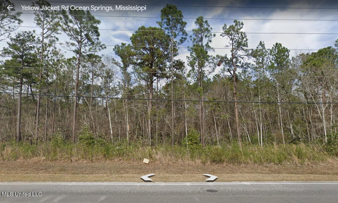 Yellow Jacket Road Ocean Springs, MS 39564 - Photo 1 of 2 Street View