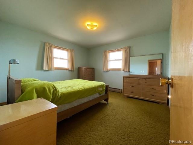 917 Elkhorn Road Hartsel, CO 80449 - Photo 13 of 34