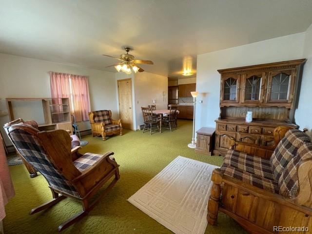 917 Elkhorn Road Hartsel, CO 80449 - Photo 3 of 34