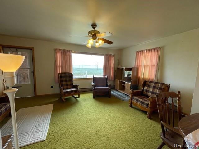 917 Elkhorn Road Hartsel, CO 80449 - Photo 4 of 34