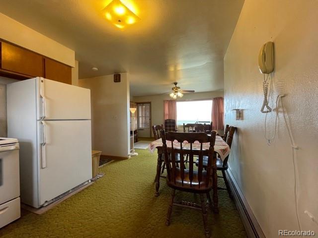 917 Elkhorn Road Hartsel, CO 80449 - Photo 8 of 34