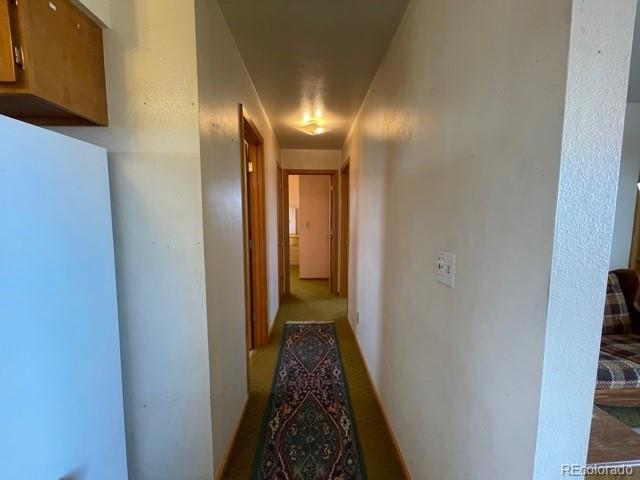917 Elkhorn Road Hartsel, CO 80449 - Photo 9 of 34