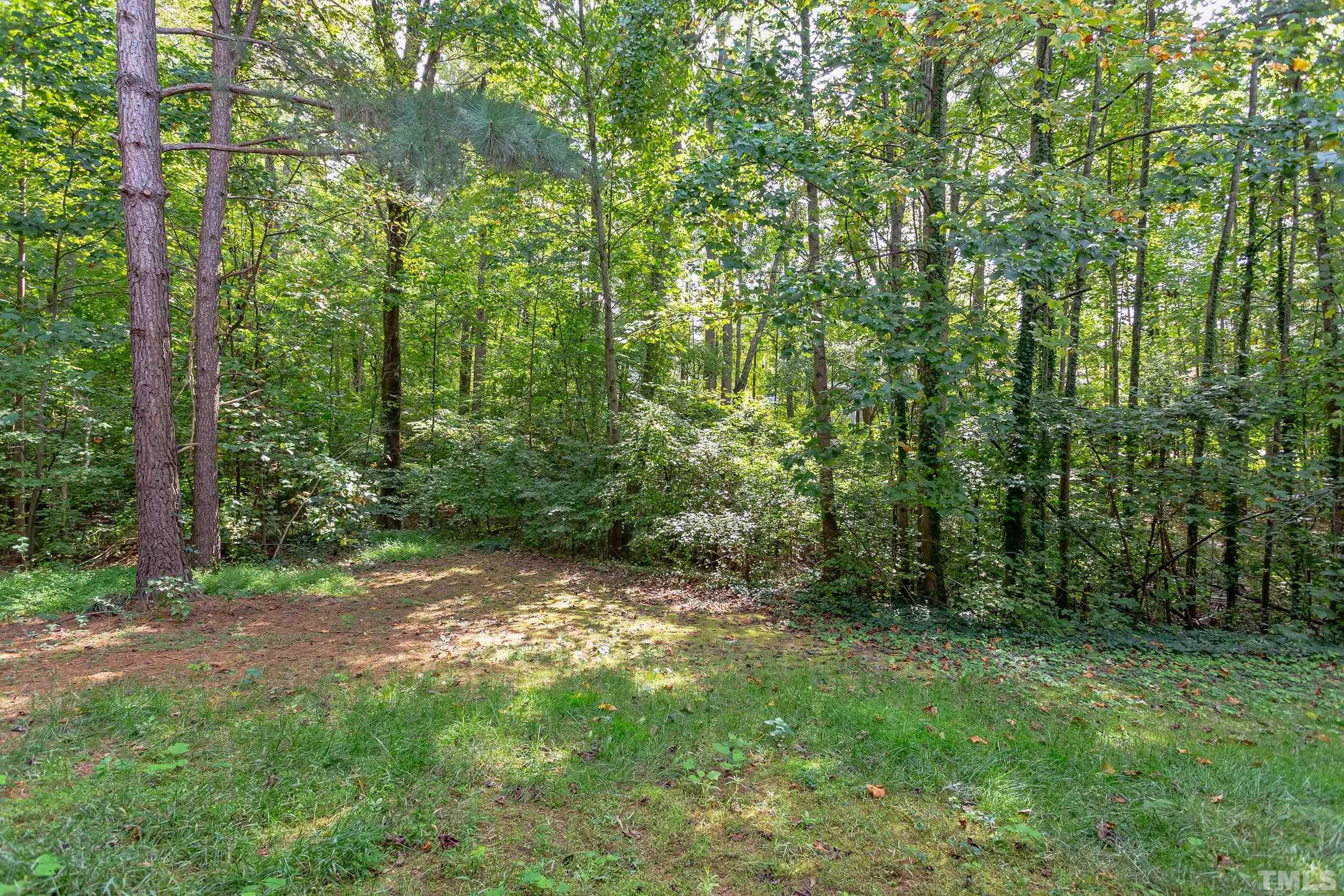 2801 Trailwood Pines Lane, Unit 102 Raleigh, NC 27603 - Photo 27 of 27 a view of a lush green forest