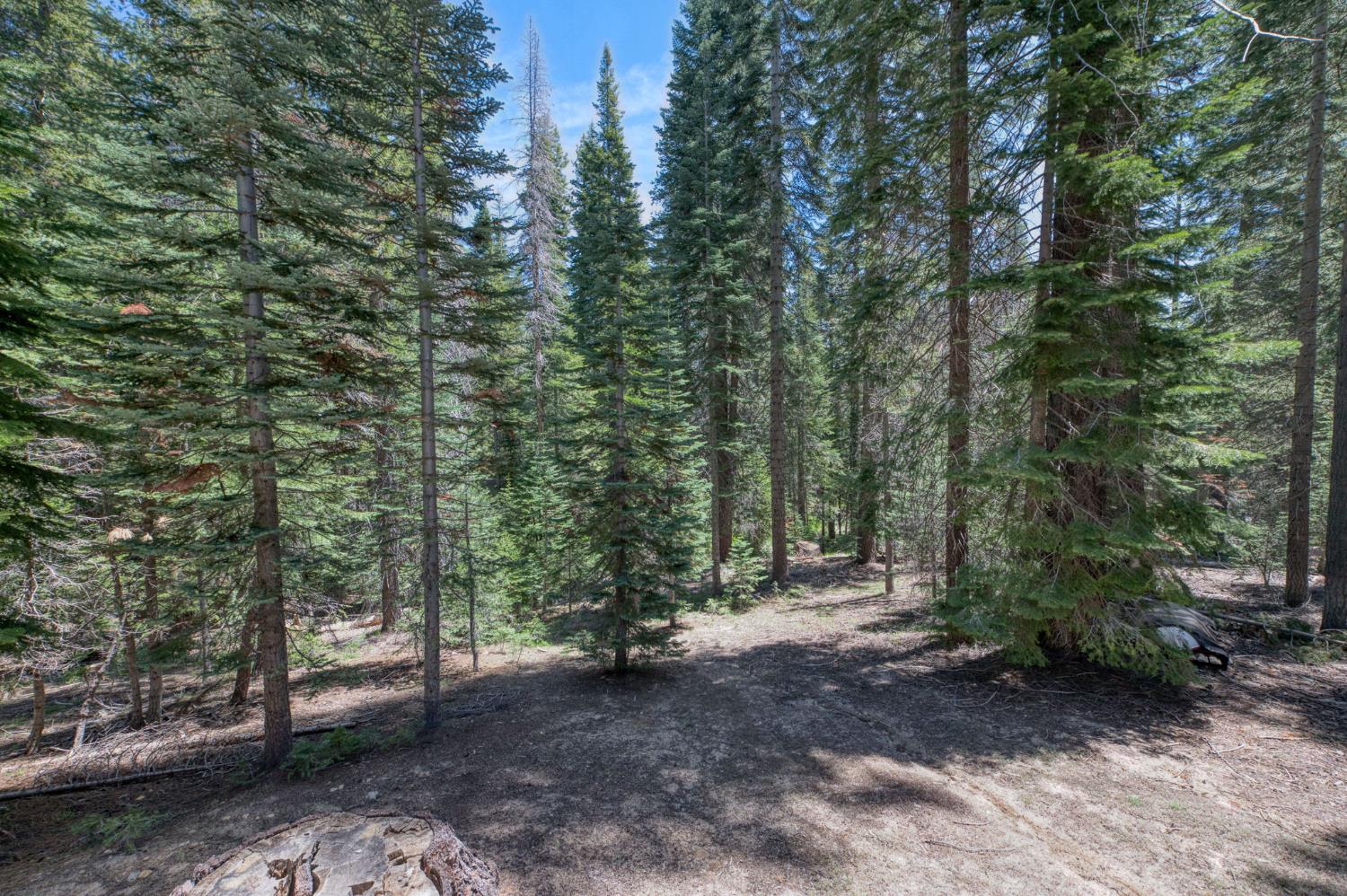 61480 Huntington Lake Road, Unit 5 Mono Hot Springs, CA 93642 - Photo 47 of 51