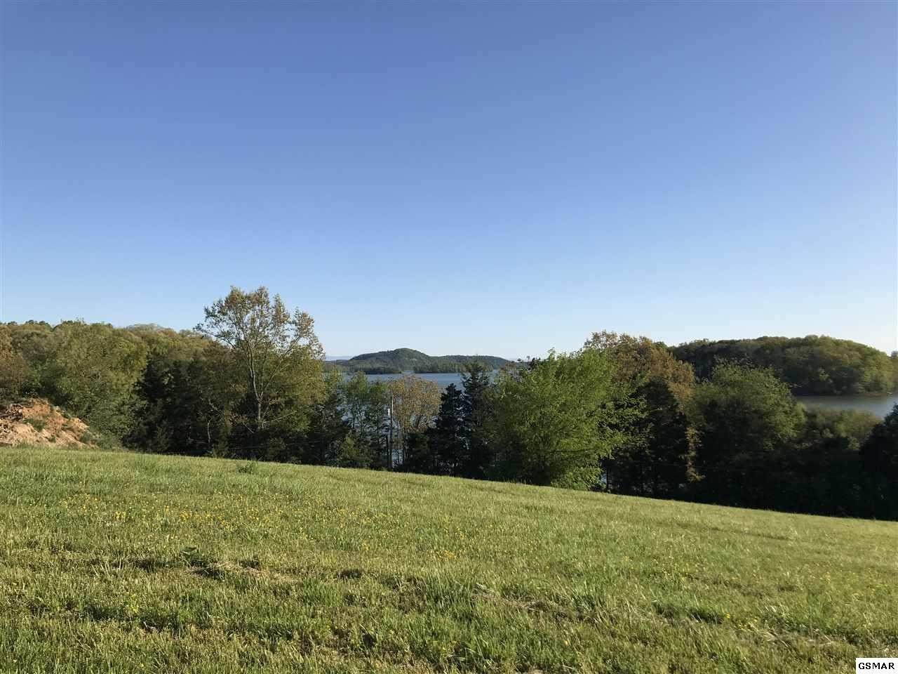 86 Shiloh Springs Road Rutledge, TN 37861 - Photo 7 of 14 Gallery Image 7