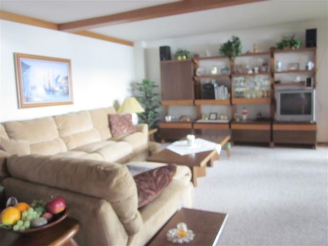 858 Breckenboro Road Lake Summerset, IL 61019 - Photo 13 of 24 a living room with furniture and a chandelier