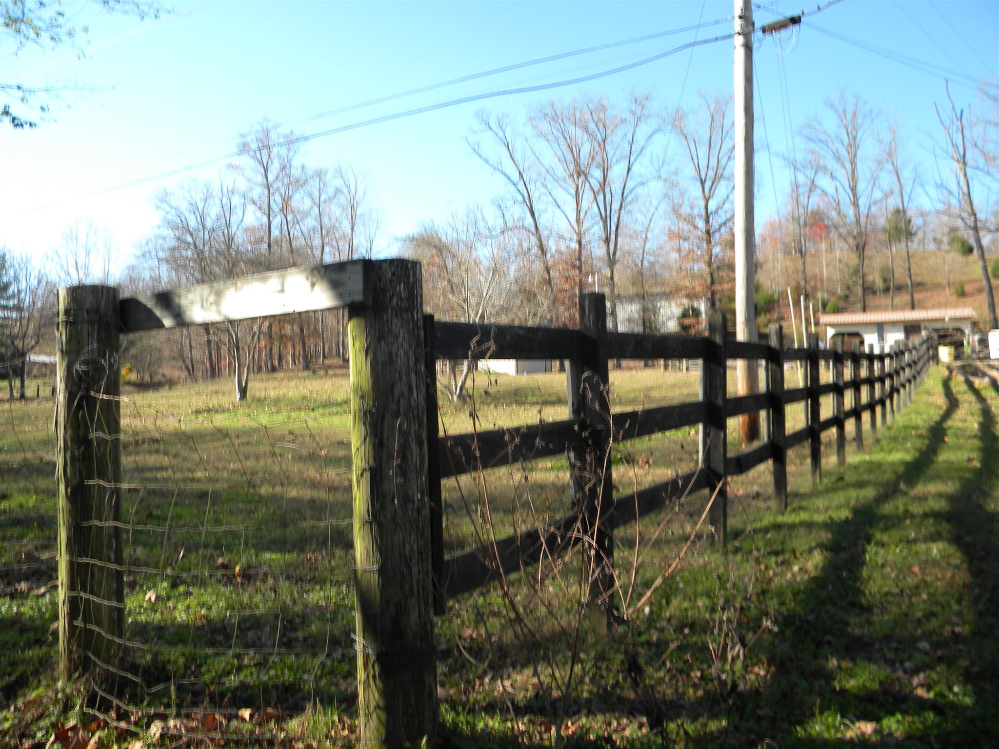 102 Salem Road Hohenwald, TN 38462 - Photo 18 of 27 Fenced in pastureland